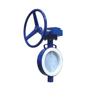 lined butterfly valve wafer gear operated FluoroSeal lv